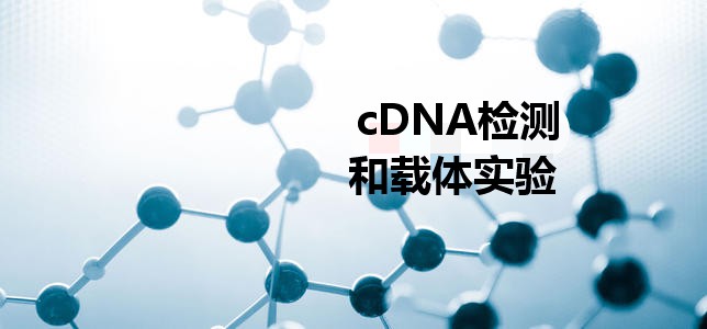 cDNA�z�y���d�w���